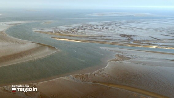 Eine Luftaufnahme des Wattenmeers © NDR Foto: NDR Screenshot