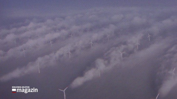 Eine Luftbildaufnahme zeigt Windräder auf in einem Offshore-Windpark in der Nordsee © NDR Foto: NDR Screenshot