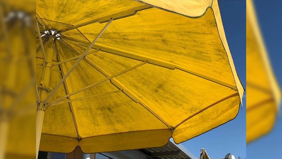 Ein aufgespannter gelber Sonnenschirm. © NDR Foto: Stella Kennedy