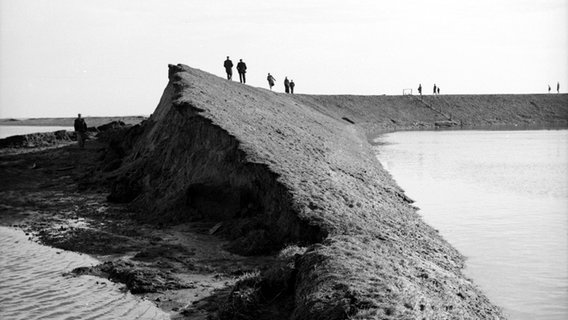 Deichschau nach der Sturmflut 1962 © NDR Foto: Wohlenberg, Erich