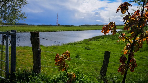 EIn Naturschutzgebiet liegt hinter einem Zaun © NDR Foto: Hannah Boehme