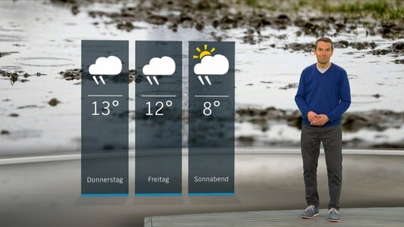NDR Moderator Meeno Schrader steht im Studio mit der Wettervorhersage © NDR 