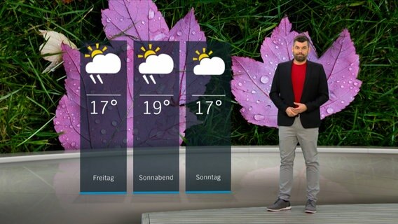 Wetterexperte Sebastian Wache steht im Studio mit der Wettervorhersage. © NDR 