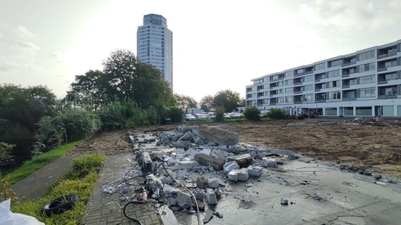 Fundamentreste der Bootshalle am Wikingeck Schleswig, im Hintergrund der Wikingturm. © Peer-Axel Kroeske Foto: Peer-Axel Kroeske