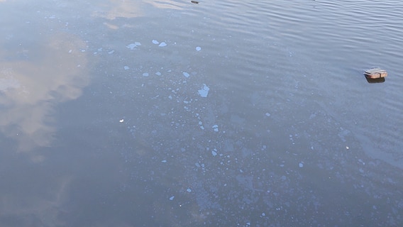 Ein Ölfilm auf der Schlei. Ein Ölfilm auf der Schlei. © Peer-Axel Kroeske Foto: Peer-Axel Kroeske