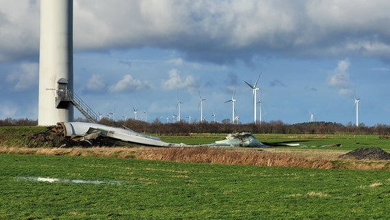 Der zerstörte Flügel eines Windrads liegt auf einem Feld © NDR Foto: Frank Goldenstein