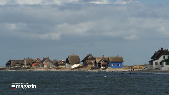 Der Graswarder von Heiligenhafen in Schleswig-Holstein © NDR Foto: NDR