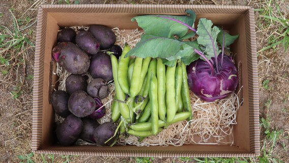 Gemüsekiste mit Kohlrabi, Bohnen und Kartoffeln © NDR Foto: Jasmin Janosch