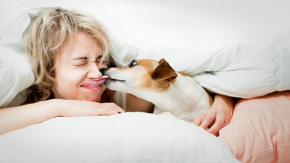 Ein Hund leckt einer Frau den Mund ab. © Fotolia Foto: Fly_dragonfly