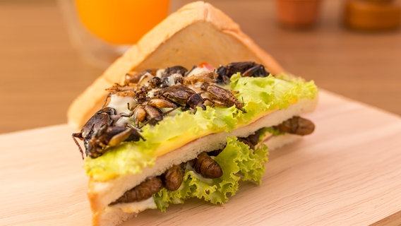 Ein Sandwich mit diversen gerösteten Insekten. © fotolia Foto: stockphototrends