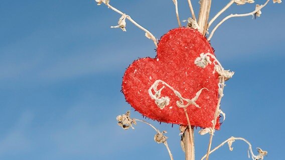Rotes Herz in einem mit Raureif überzogenen Strauch. © picture-alliance Foto: Laurence Mouton