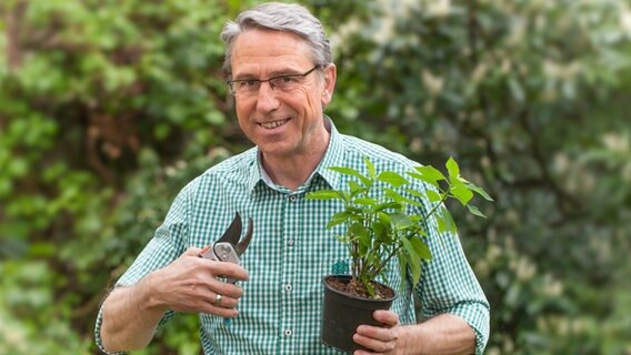 NDR 1 Niedersachsen Garten-Experte Ralf Walter hält eine Gartenschere und einen Pflanze in den den Händen und lächelt in die Kamera. © NDR Foto: Michael Uphoff