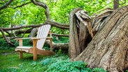 Ein Stuhl unter alten Bäumen © Kirche im NDR Foto: Christine Raczka
