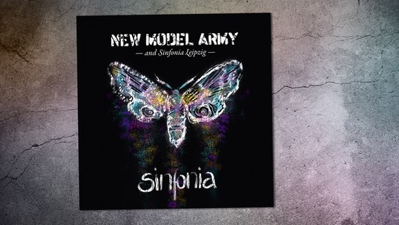 Das Cover des Live-Albums "Sinfonia" von New Model Army © earMusic 