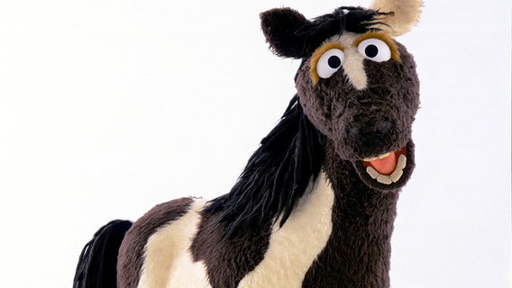 Pferd aus der Sesamstraße Pferd aus der Sesamstraße © NDR/Sesame Workshop