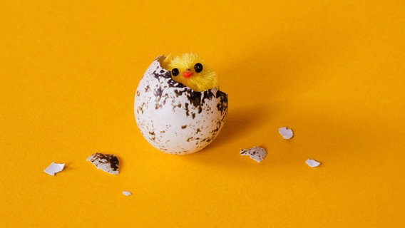 Ein Spielzeug-Küken in einer Eierschale © photocase.de Foto: suze