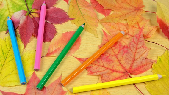 Buntstifte und Herbstlaub liegen auf einer Holzfläche. © Colourbox Foto:  Volodymyr Kaznovskyi