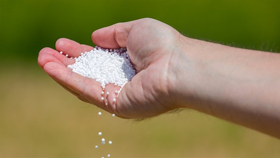 Weißes Düngergranulat in einer Männerhand. Weißes Düngergranulat in einer Männerhand. © fotolia Foto: Stockr
