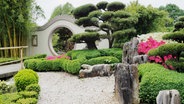 Japanische Gartengestaltung im Arboretum Ellerhoop. © NDR Foto: Anja Deuble