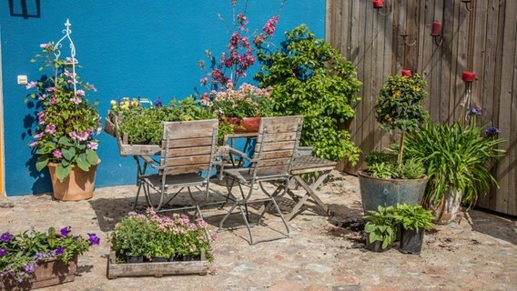 Blumenkästen und bepflanzte Kübel stehen um einen Gartentisch. © NDR Foto: Udo Tanske