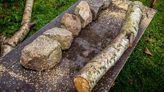 Pflastersteine und ein dicker Ast liegen auf einer Platte im Garten. © NDR Foto: Udo Tanske