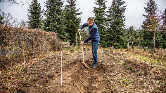 Peter Rasch steht im Garten und häufelt Erde an. © NDR Foto: Udo Tanske
