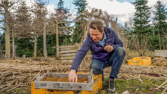 Peter Rasch legt Kartoffeln in eine Kiste. © NDR Foto: Udo Tanske