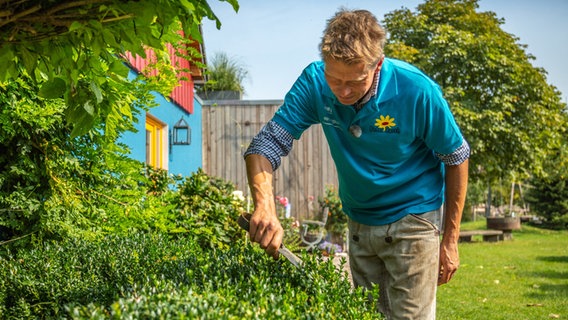 Gartenexperte Peter Rasch schneidet eine Hecke. © NDR Foto: Udo Tanske