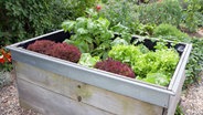 Bepflanztes Hochbeet © fotolia.com Foto: Jeanette Dietl