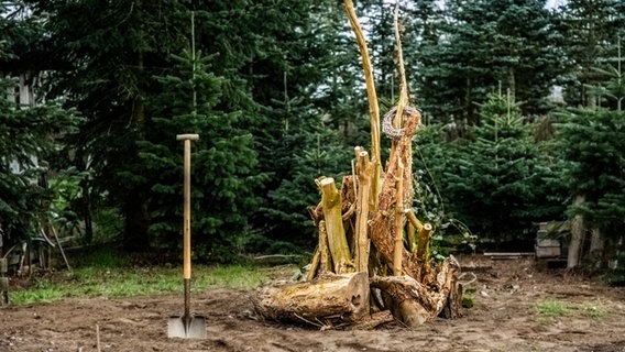 Eine Schaufel steckt neben einem Totholzstapel mit langen Ästen in der Erde © NDR Foto: Udo Tanske