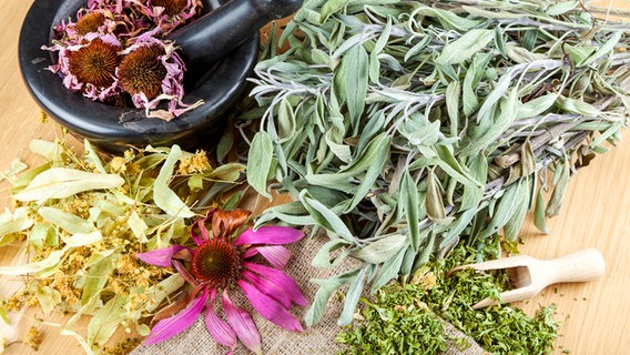 Getrocknete Kräuter und Blüten und ein Mörser auf einem Tisch. © Colourbox Foto: -