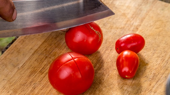Tomaten werden mit einem Messer kreuzweise eingeritzt. © NDR Foto: Udo Tanske