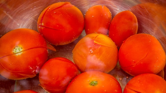 Tomaten liegen mit Wasser übergossen in einer Schüssel © NDR Foto: Udo Tanske