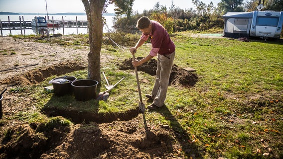 Peter Rasch gräbt einen kreisförmigen Graben um einen Baum © NDR Foto: Udo Tanske