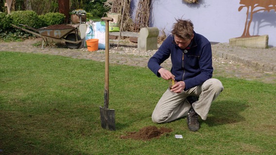 Peter Rasch entnimmt eine Bodenprobe aus dem Rasen © NDR Foto: Udo Tanske