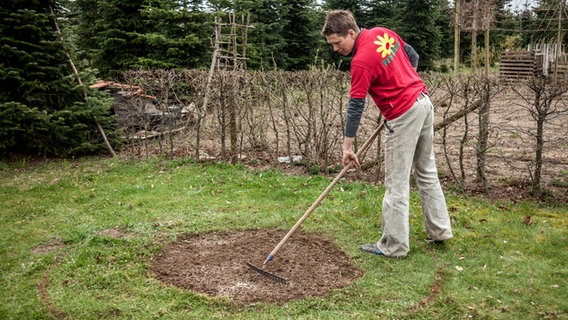 Ein Mann harkt Samen in ein kreisrundes Beet. © NDR Foto: Udo Tanske
