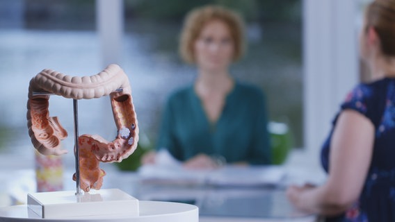 Das Modell eines Darms steht auf einem Tisch. © NDR Screenshot Foto: Moritz Schwarz/Oliver Zydek/Julian Ringer