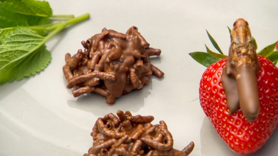 Mehlwurmcrossies mit Erdbeeren auf einem Teller angerichtet. © NDR Foto: NDR Screenshot