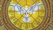 Das Bild einer weißen Taube als Symbol für den Heiligen Geist in einer Kuppel des Berliner Doms © imago images / epd 