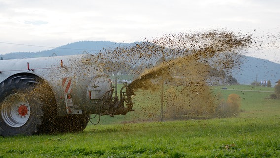 Ein Traktor düngt ein Feld mit Gülle © colourbox Foto: Alfred Hofer