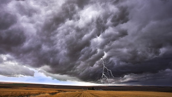 Gewitterwolke und Blitz über Landschaft © Colourbox Foto: -