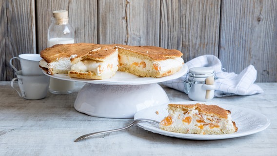 Käse-Sahne-Kuchen mit Mandarinen. © Claudia Timmann 