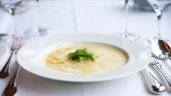 Paprika-Rhabarber-Suppe auf einem Teller serviert © NDR Foto: Claudia Timmann