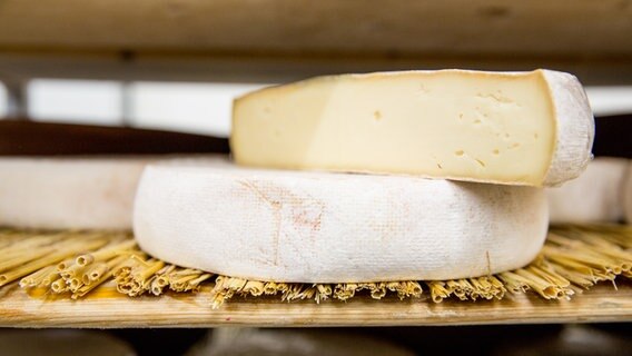 Einb Stück Käse der Sorte Saint Nectaire AOP liegt auf einem ganzen Käselaib in einem Regal. © NDR Foto: Claudia Timmann