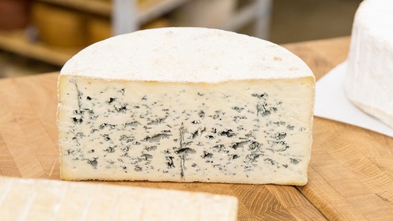 Ein Stück Käse der Sorte Bleu d'Auvergne AOP © NDR Foto: Claudia Timmann