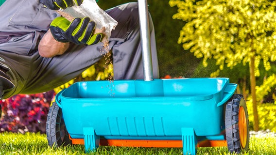 Ein Mann mit Gartenhandschuhen füllt Dünger in einen Streuwagen. © Colourbox Foto: Tomasz Zajda Virrage Images Inc