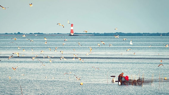 Der Leuchtturm Arngast bei Wilhelmshaven im Jadebusen, im Vordergrund ein Fischer. © Wilhelmshaven Touristik & Freizeit GmbH Foto: Ganske