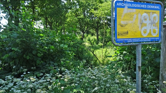 Ein Hinweisschild informiert über einen historischen Alsterkanal, der an diese Stelle verläuft. © NDR Foto: Irene Altenmüller