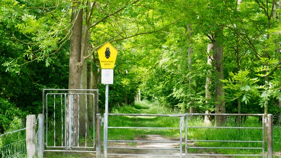 Eingang zum Naturschutzgebiet Bishorst im Elbvorland bei Haseldorf. © NDR Foto: Anja Deuble