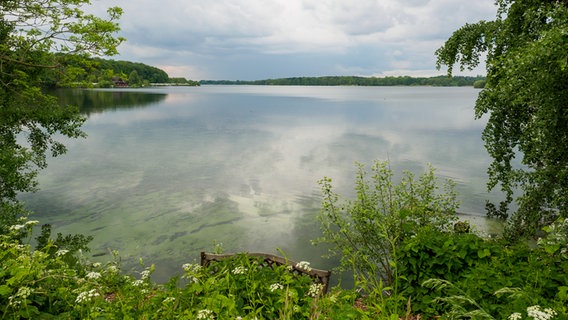 Blick auf einen grünlich gefärbten See, eine Bank steht im Vordergrund am Ufer. © NDR Foto: Anja Deuble
